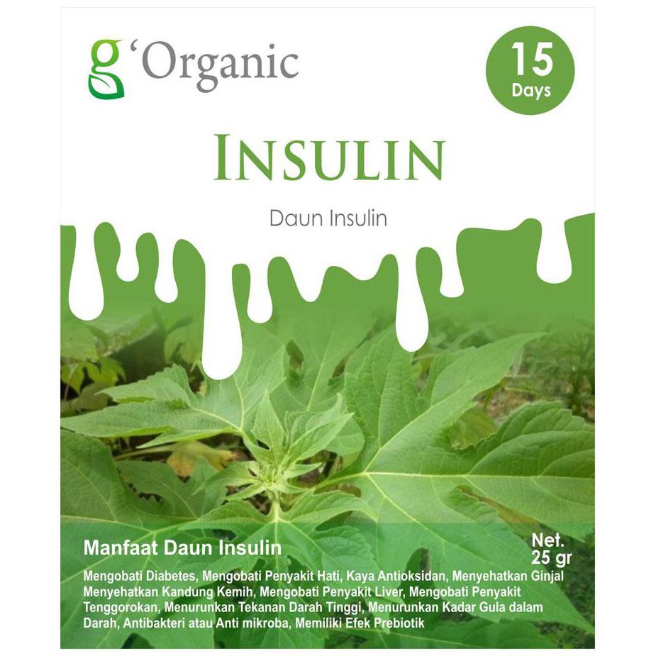 Detail Gambar Daun Insulin Nomer 34