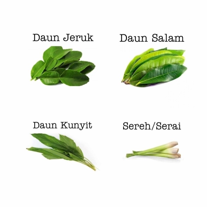 Detail Gambar Daun Jeruk Nomer 52