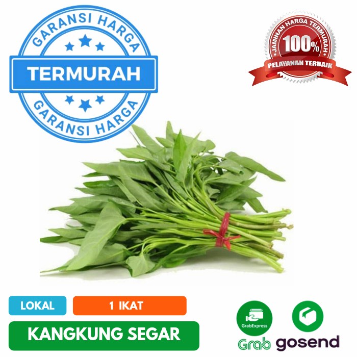 Detail Gambar Daun Kangkung Nomer 31