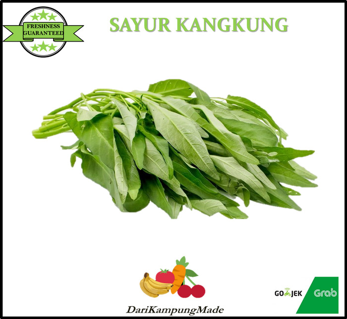 Detail Gambar Daun Kangkung Nomer 33