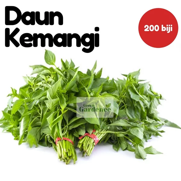 Detail Gambar Daun Kangkung Nomer 36