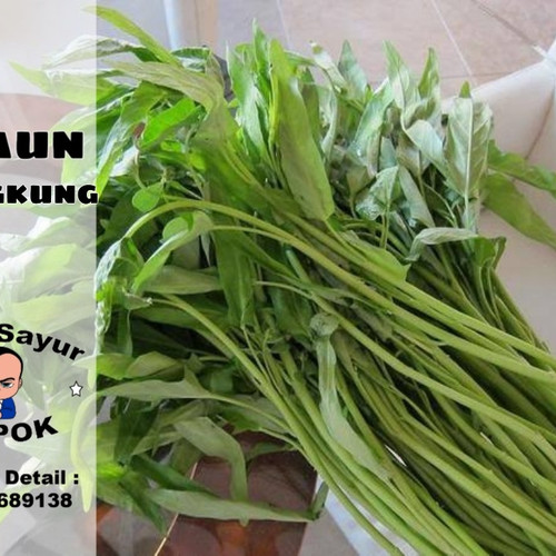 Detail Gambar Daun Kangkung Nomer 53