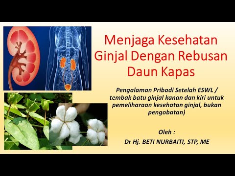 Detail Gambar Daun Kapas Nomer 47