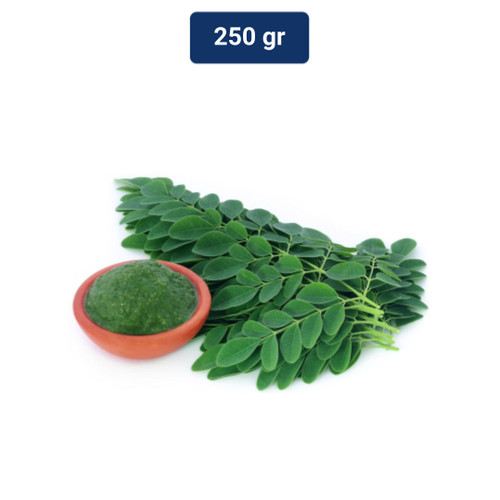 Detail Gambar Daun Katuk Nomer 22