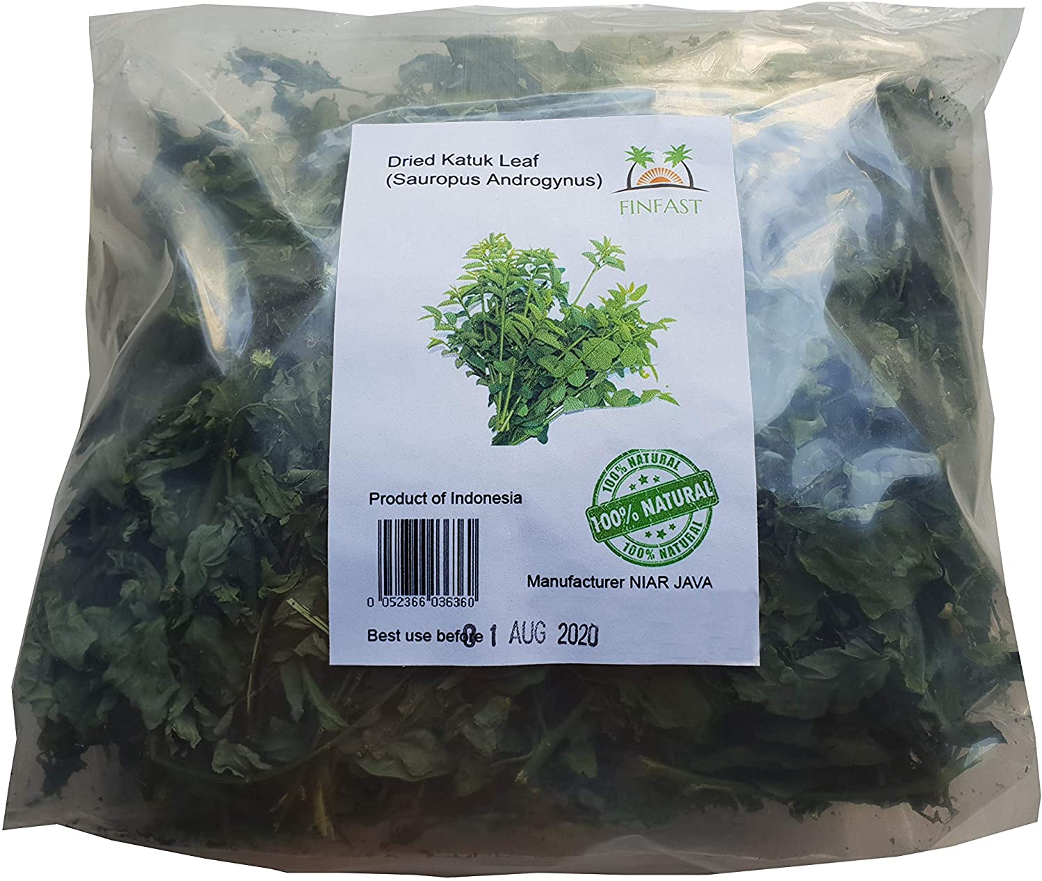 Detail Gambar Daun Katuk Nomer 38