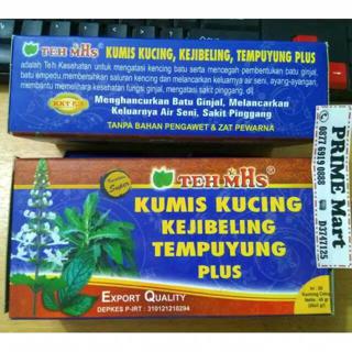 Detail Gambar Daun Keji Beling Dan Kumis Kucing Nomer 16