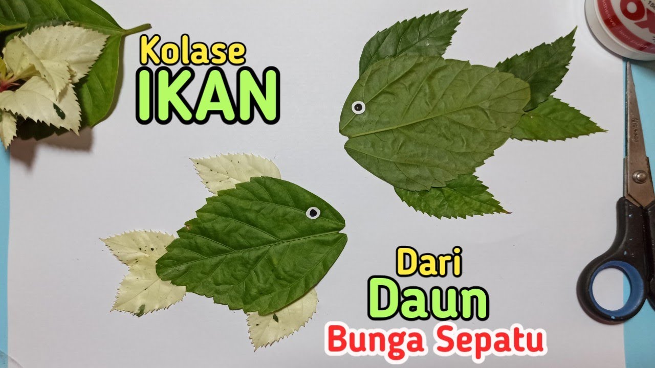 Detail Gambar Daun Kembang Sepatu Nomer 38