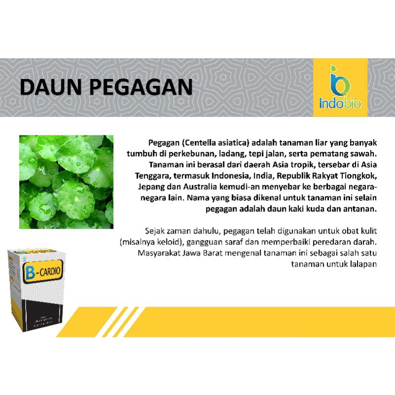 Detail Gambar Daun Kemudi Simplex Nomer 27