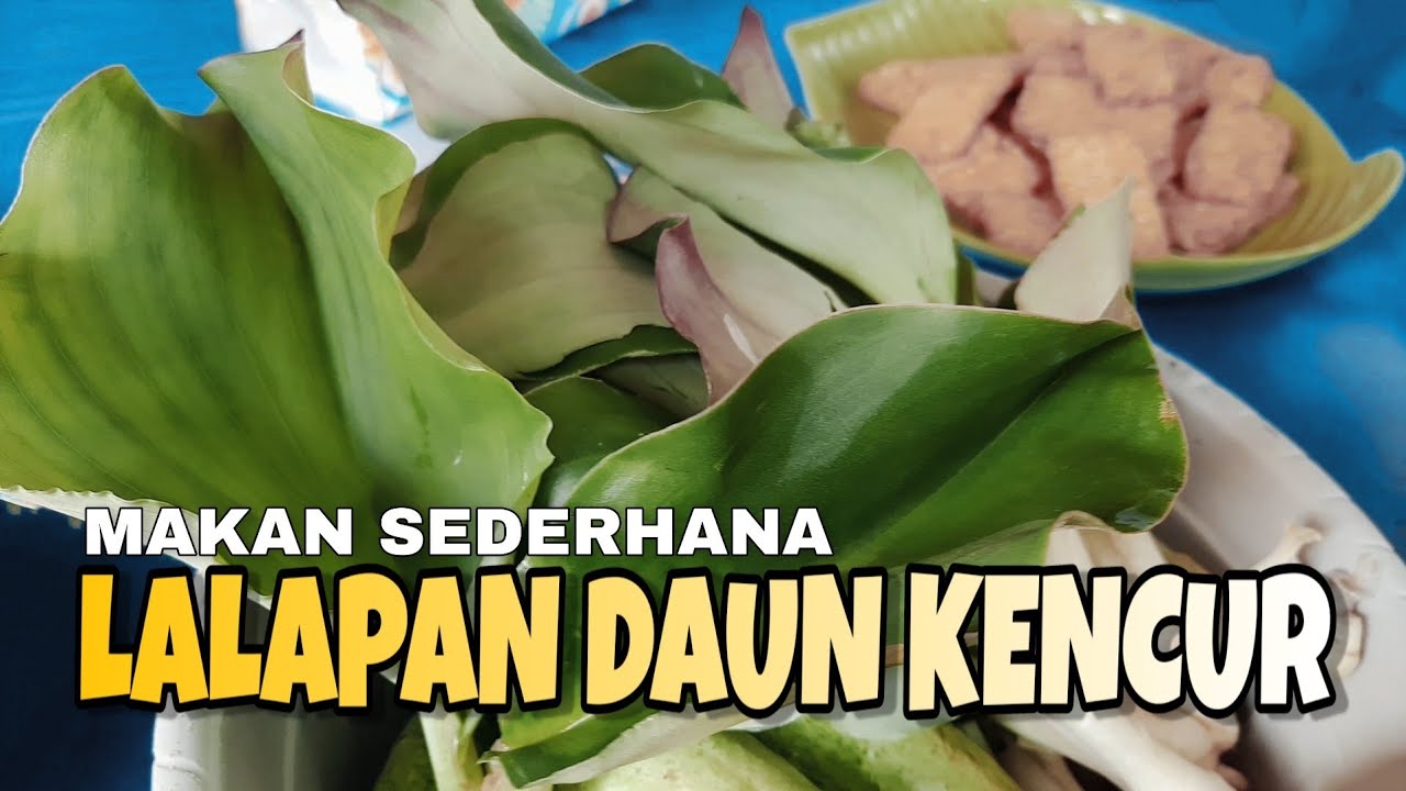 Detail Gambar Daun Kencur Nomer 38