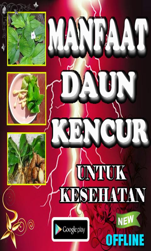 Detail Gambar Daun Kencur Nomer 46