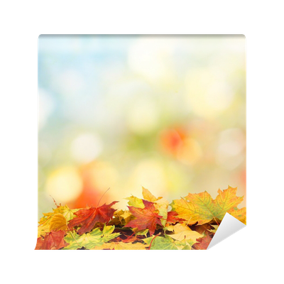 Detail Herbstbilder Hintergrund Nomer 20