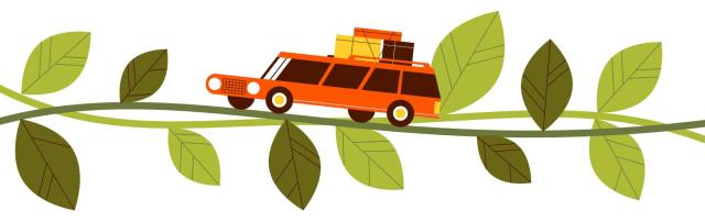 Detail Caleb Vines Nomer 18