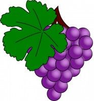 Detail Caleb Vines Nomer 2