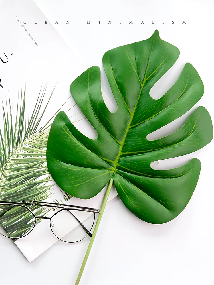 Detail Gambar Daun Nomer 29