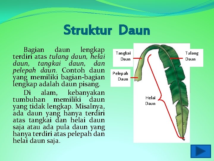 Detail Gambar Daun Lengkap Nomer 18