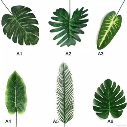 Detail Gambar Daun Lima Jari Nomer 22