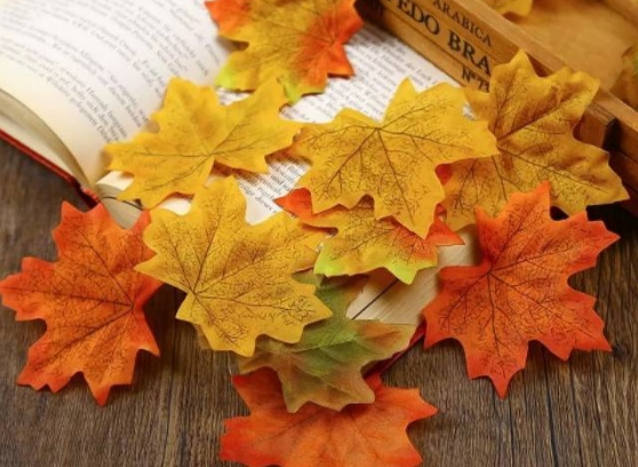 Detail Gambar Daun Maple Nomer 31