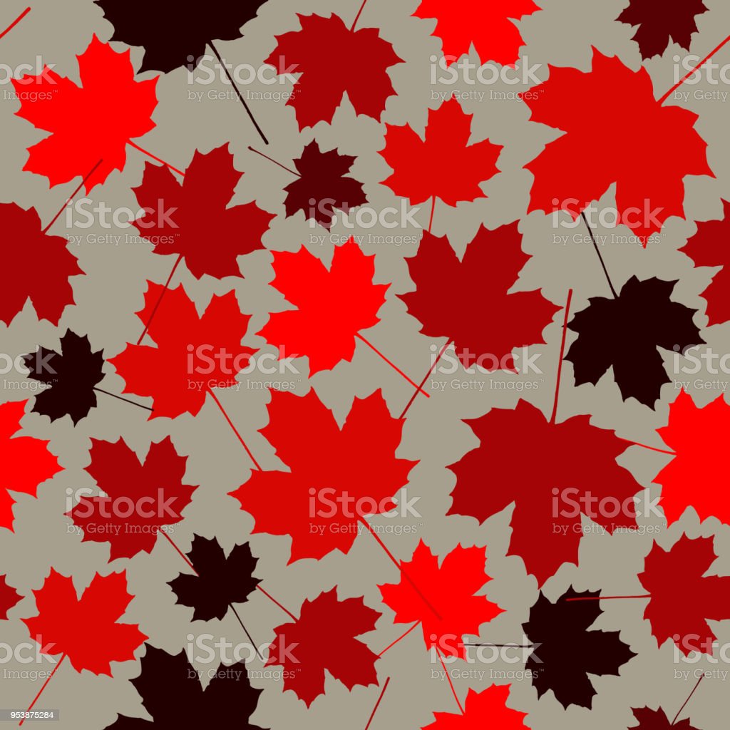 Detail Gambar Daun Maple Nomer 47