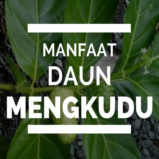 Detail Gambar Daun Mengkudu Nomer 25