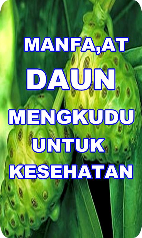 Detail Gambar Daun Mengkudu Nomer 42