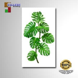 Detail Gambar Daun Monstera Nomer 43