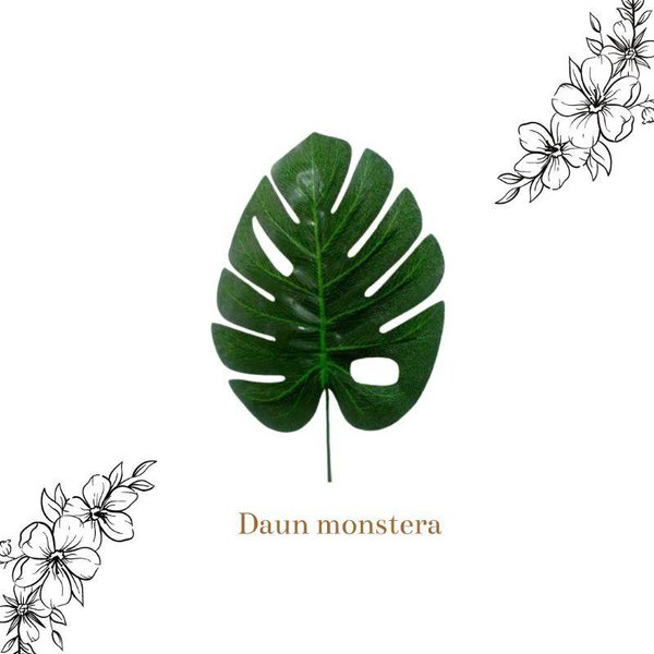 Detail Gambar Daun Monstera Aesthetic Nomer 21