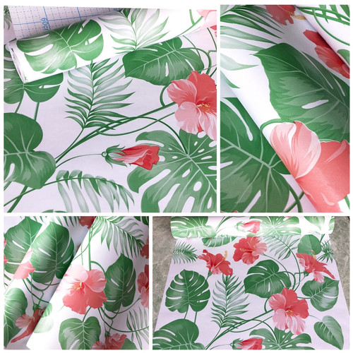 Detail Gambar Daun Monstera Wallpaper Nomer 57