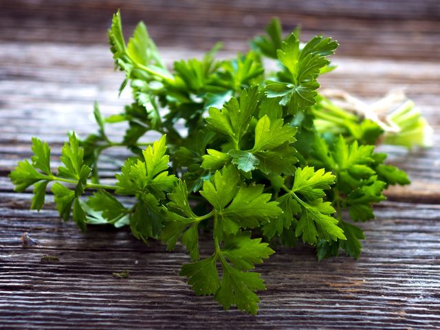 Detail Gambar Daun Parsley Nomer 2