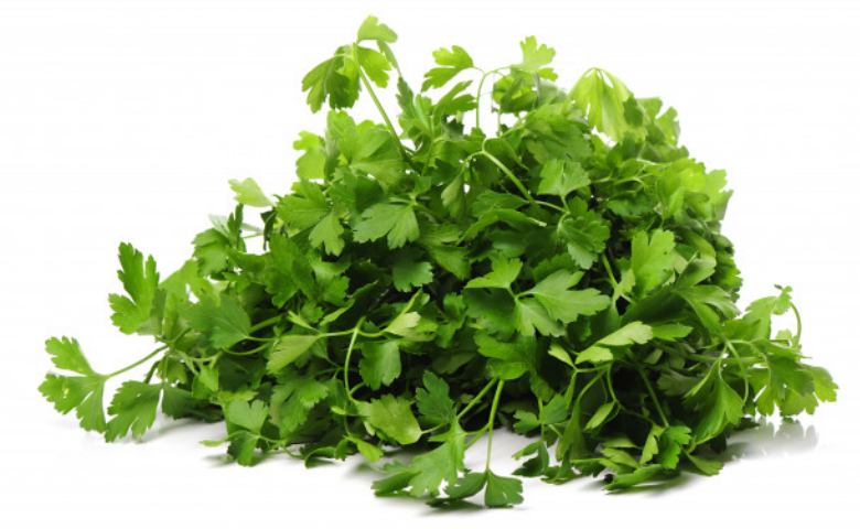 Detail Gambar Daun Parsley Nomer 39