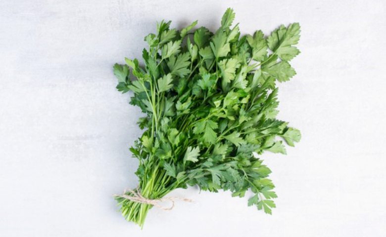 Detail Gambar Daun Parsley Nomer 40