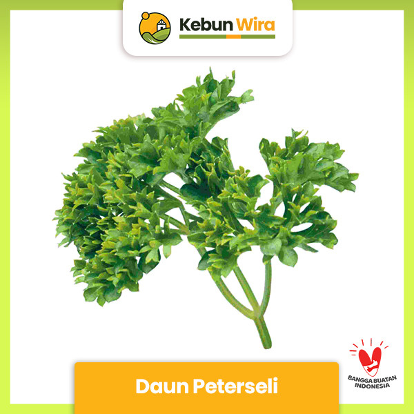 Detail Gambar Daun Peterseli Nomer 39