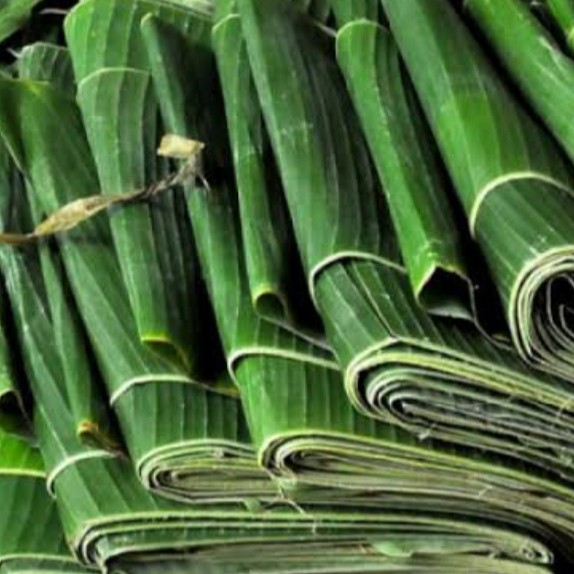 Detail Gambar Daun Pisang Nomer 33