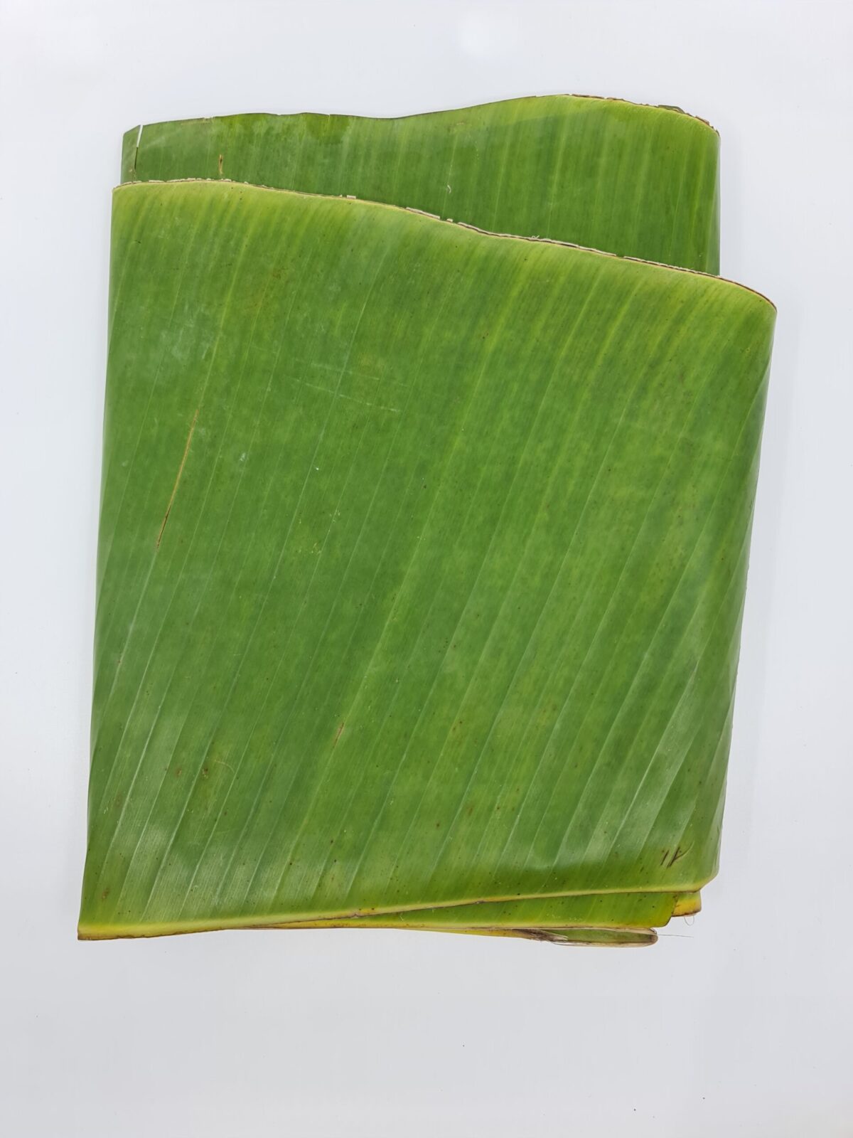 Detail Gambar Daun Pisang Nomer 45