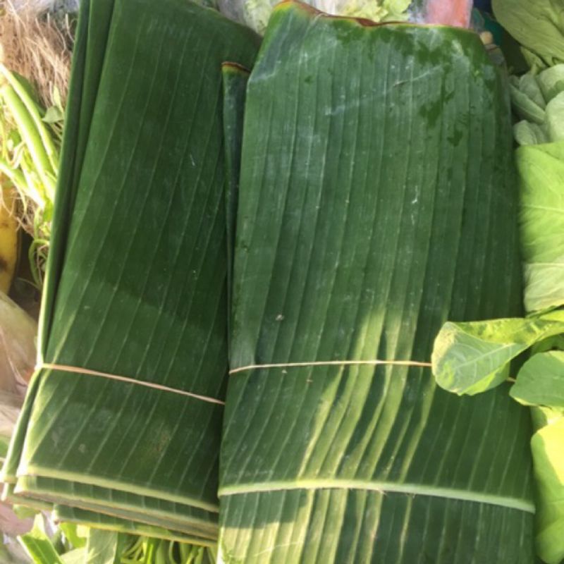 Detail Gambar Daun Pisang Raja Nomer 2