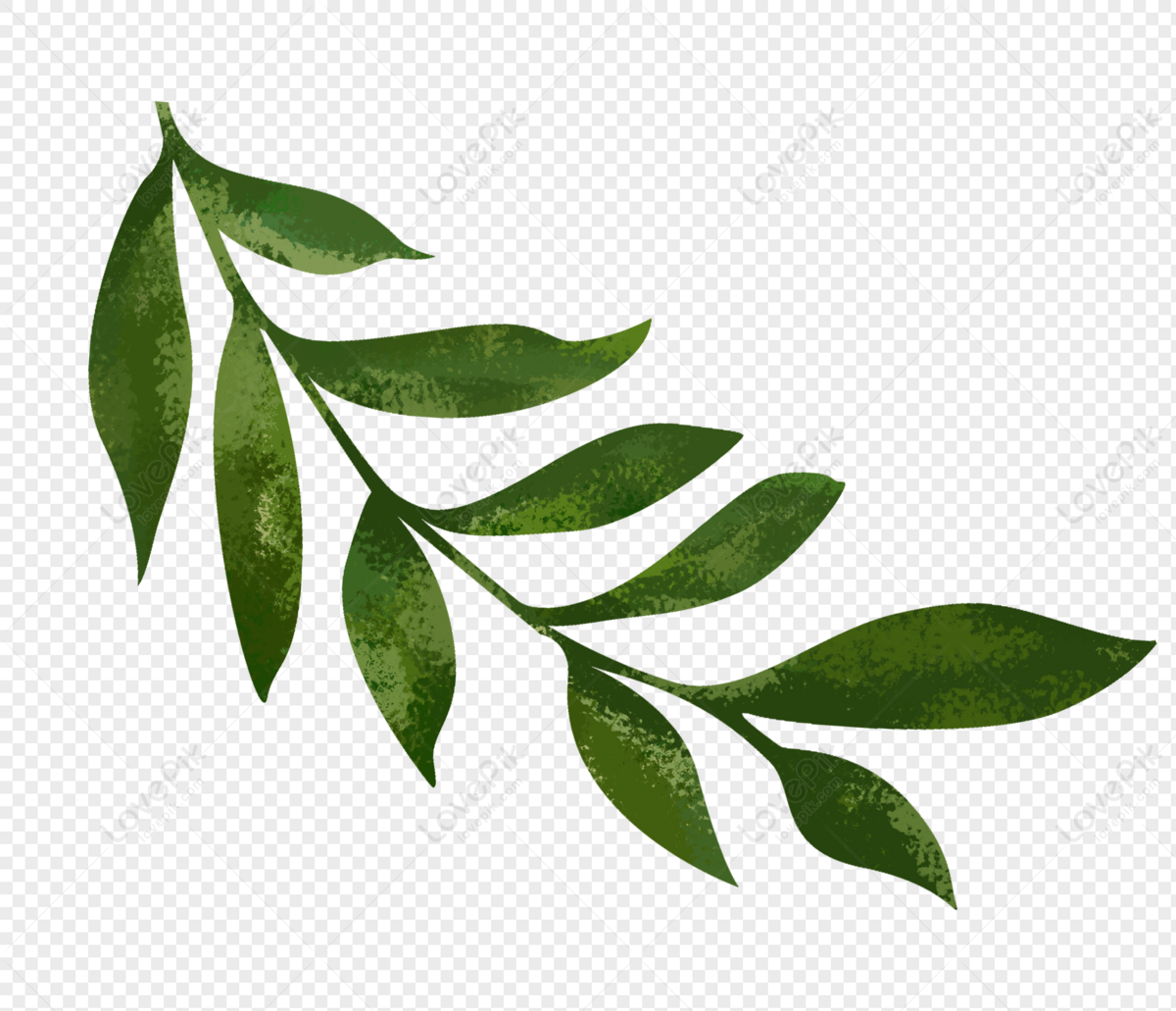 Detail Gambar Daun Png Nomer 11