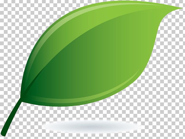 Detail Gambar Daun Png Nomer 14