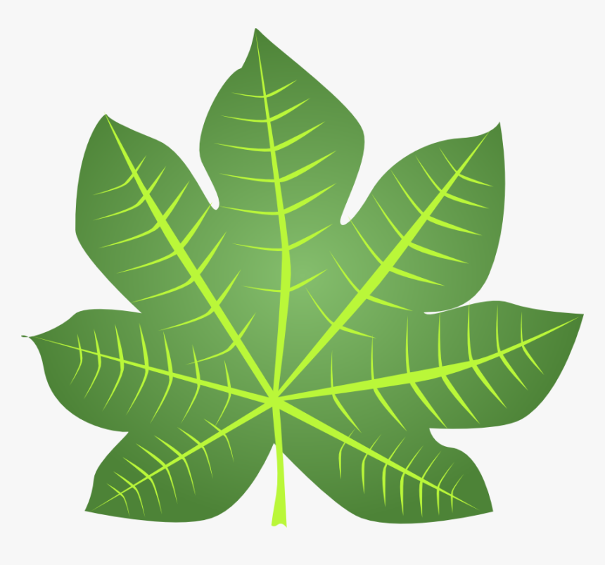 Detail Gambar Daun Png Nomer 17