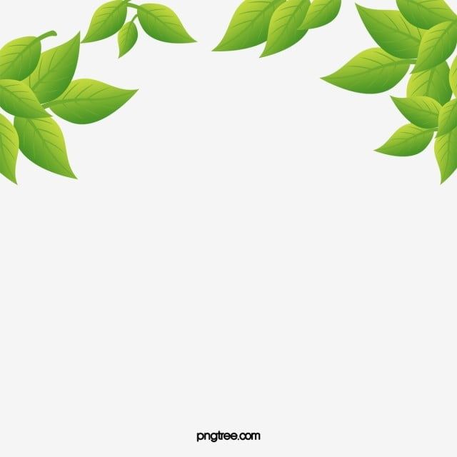 Detail Gambar Daun Png Nomer 20