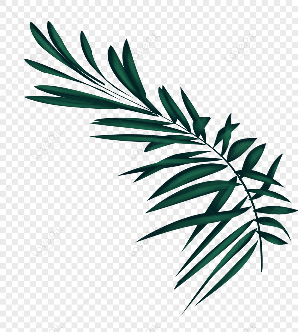 Detail Gambar Daun Png Nomer 26