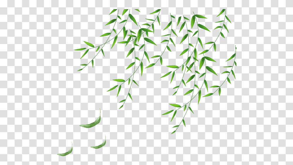 Detail Gambar Daun Png Nomer 41