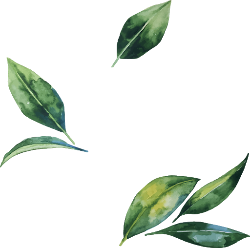 Detail Gambar Daun Png Nomer 43