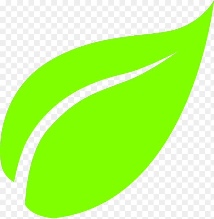 Detail Gambar Daun Png Nomer 6