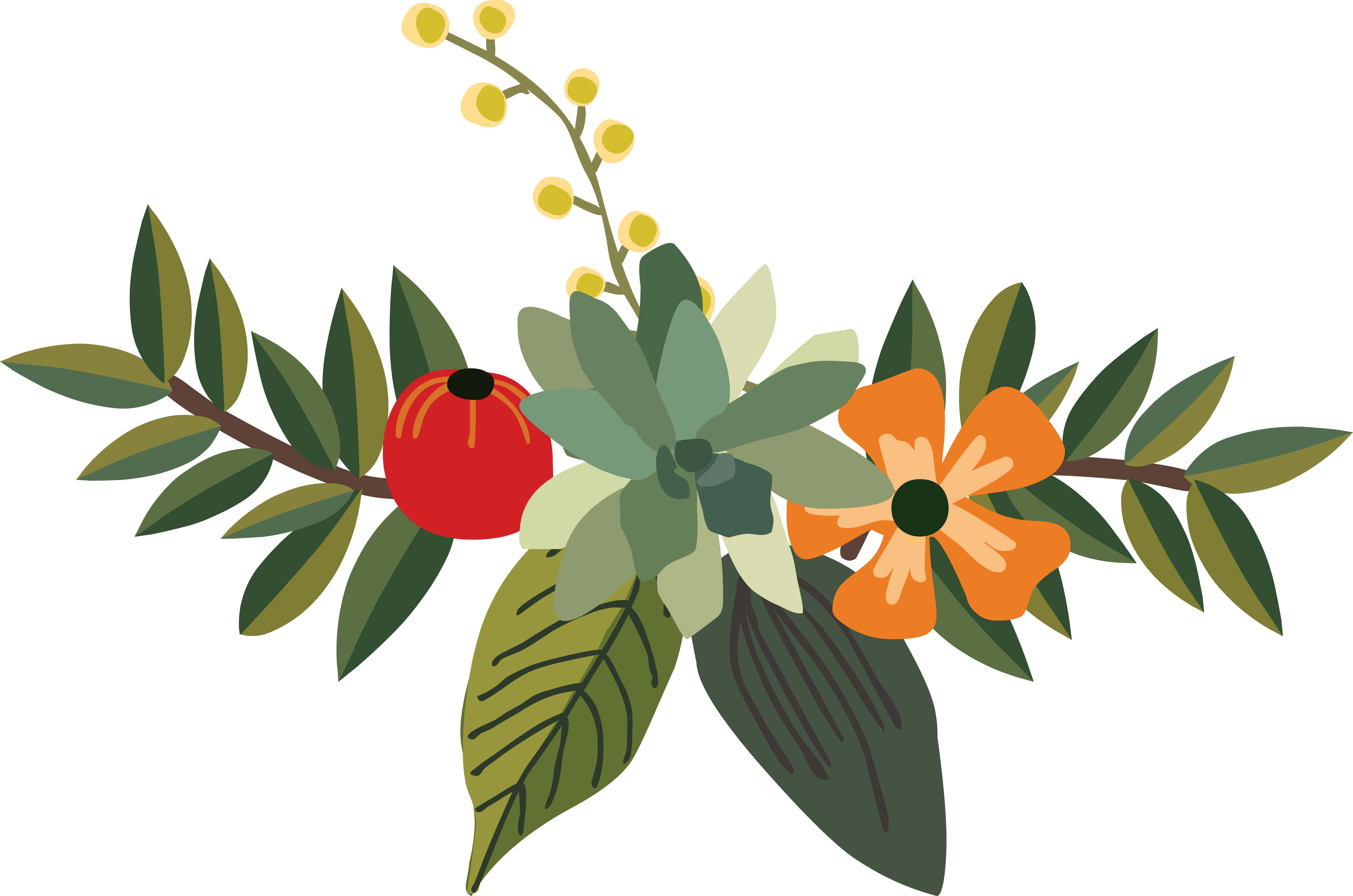 Detail Gambar Daun Png Nomer 48