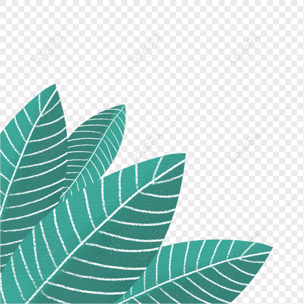 Detail Gambar Daun Png Nomer 52