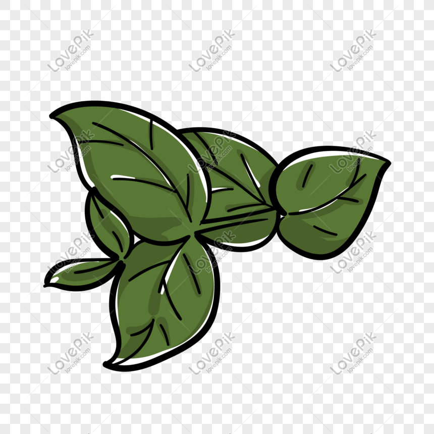 Detail Gambar Daun Png Nomer 54