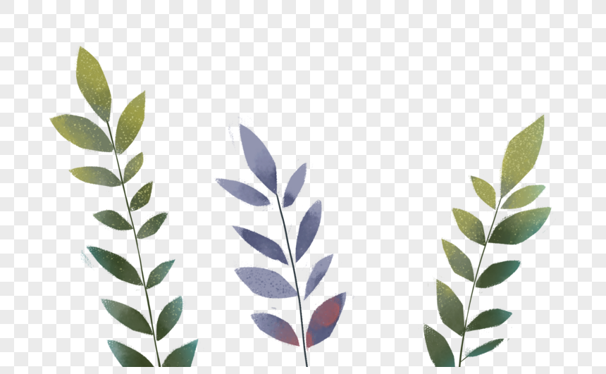 Detail Gambar Daun Png Nomer 55