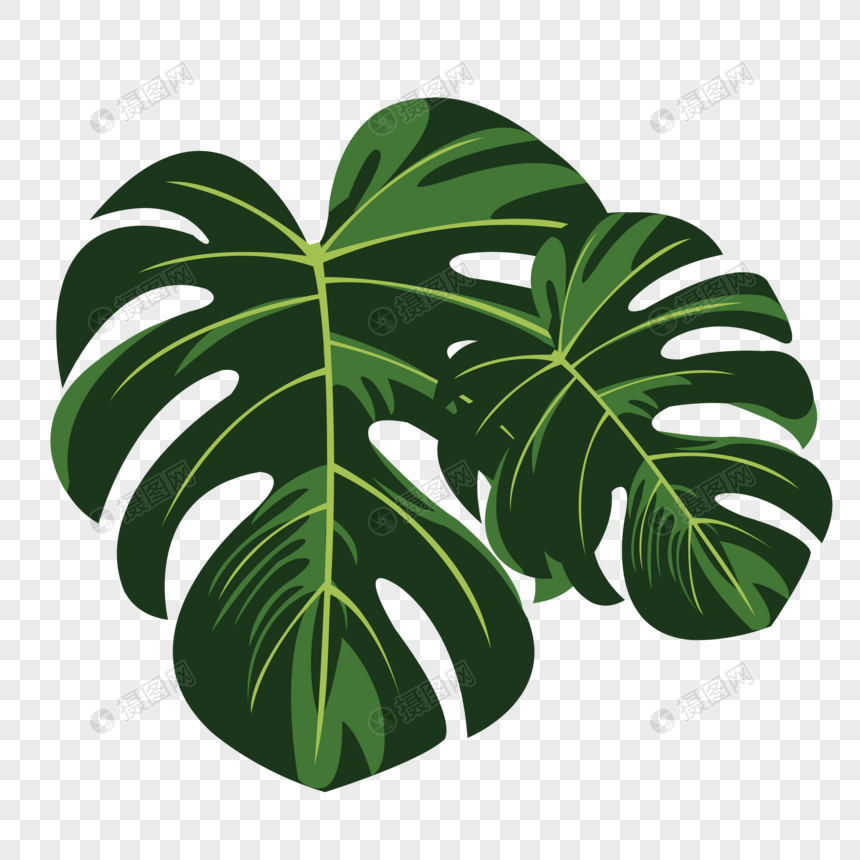 Detail Gambar Daun Png Nomer 7