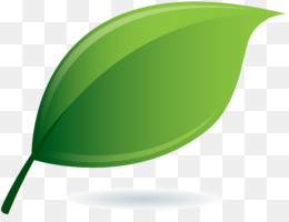 Detail Gambar Daun Png Nomer 8