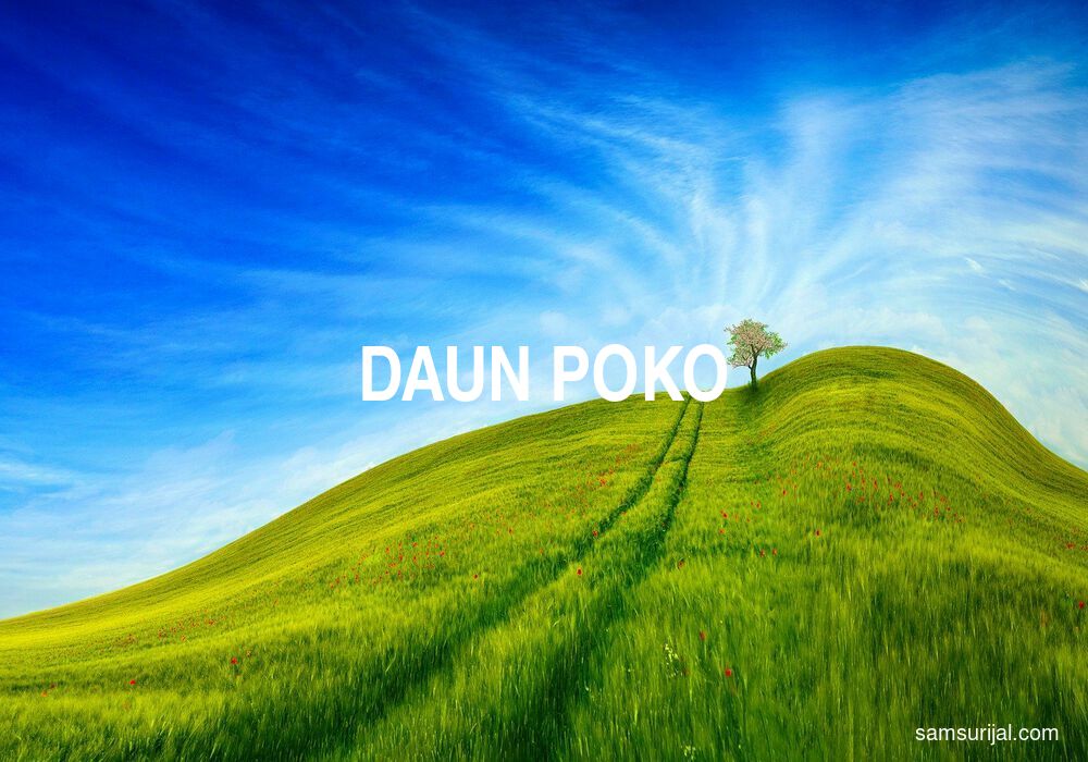 Detail Gambar Daun Poko Nomer 48