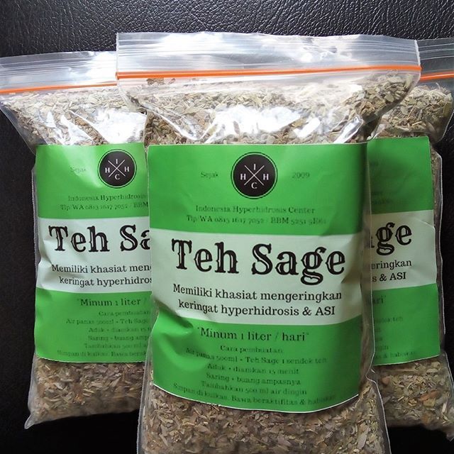 Detail Gambar Daun Sage Nomer 54